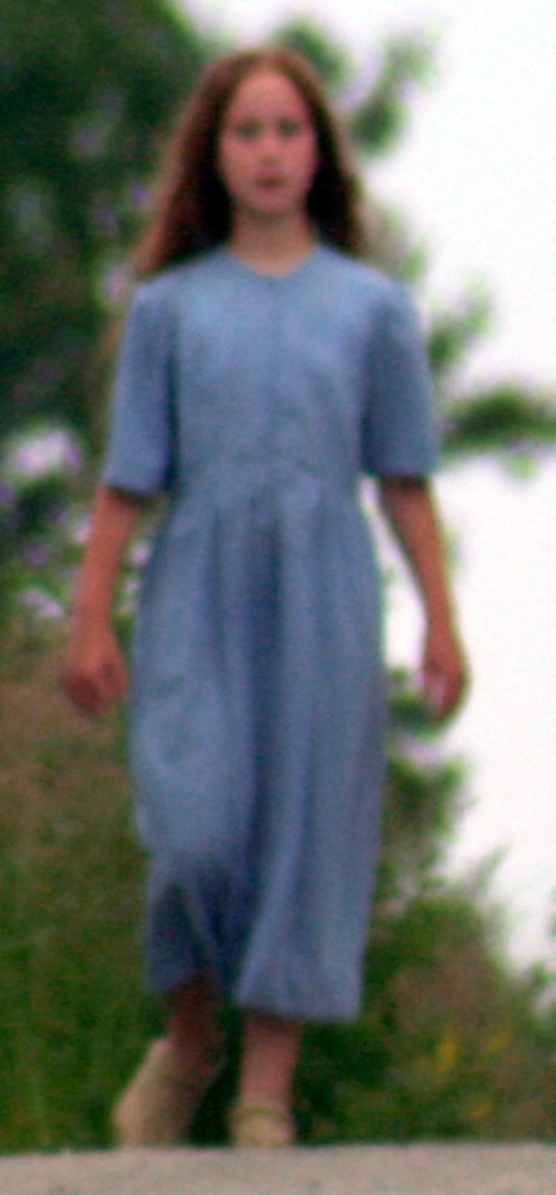 Amish Girl on the Horizen