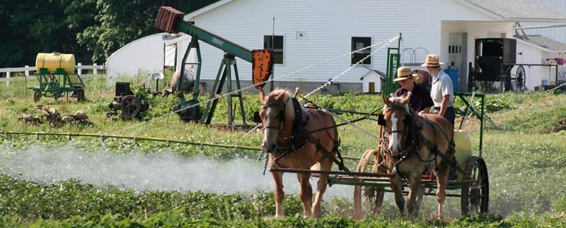 Amish farming with spray on land with natural gas rig