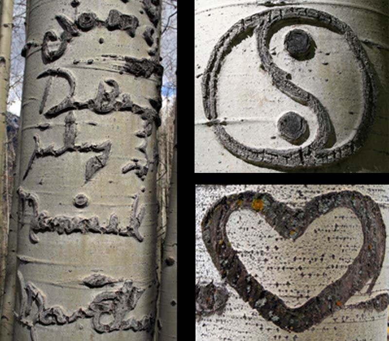 graffit scared logos