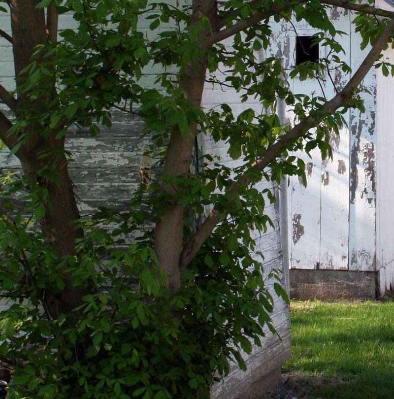 garage in Ney, Ohio