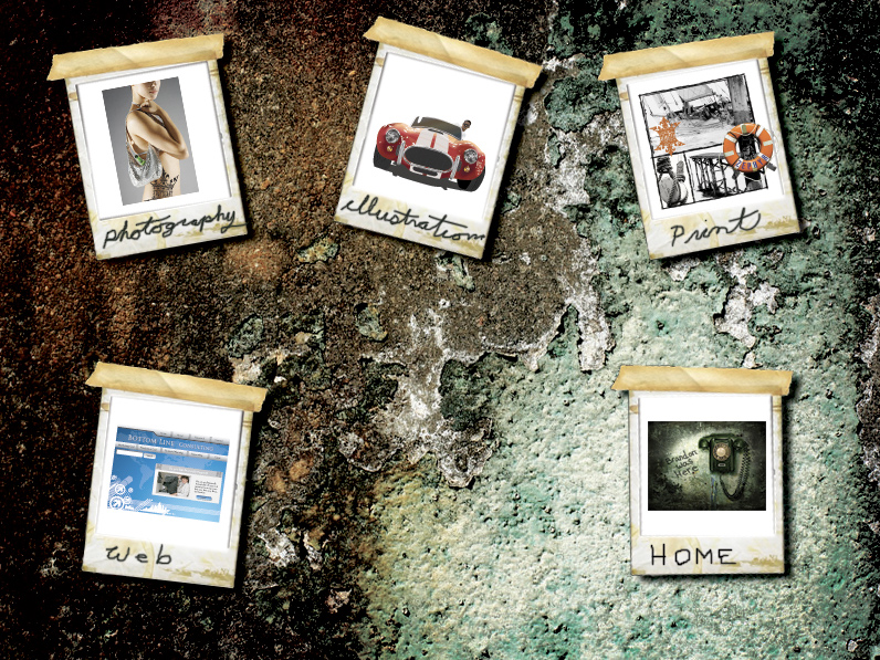 web design and flash