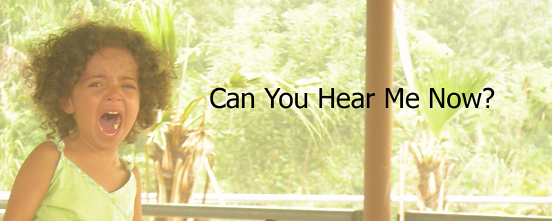 Can you hear me now?