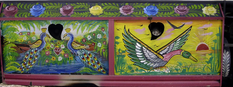 birds on tanks
